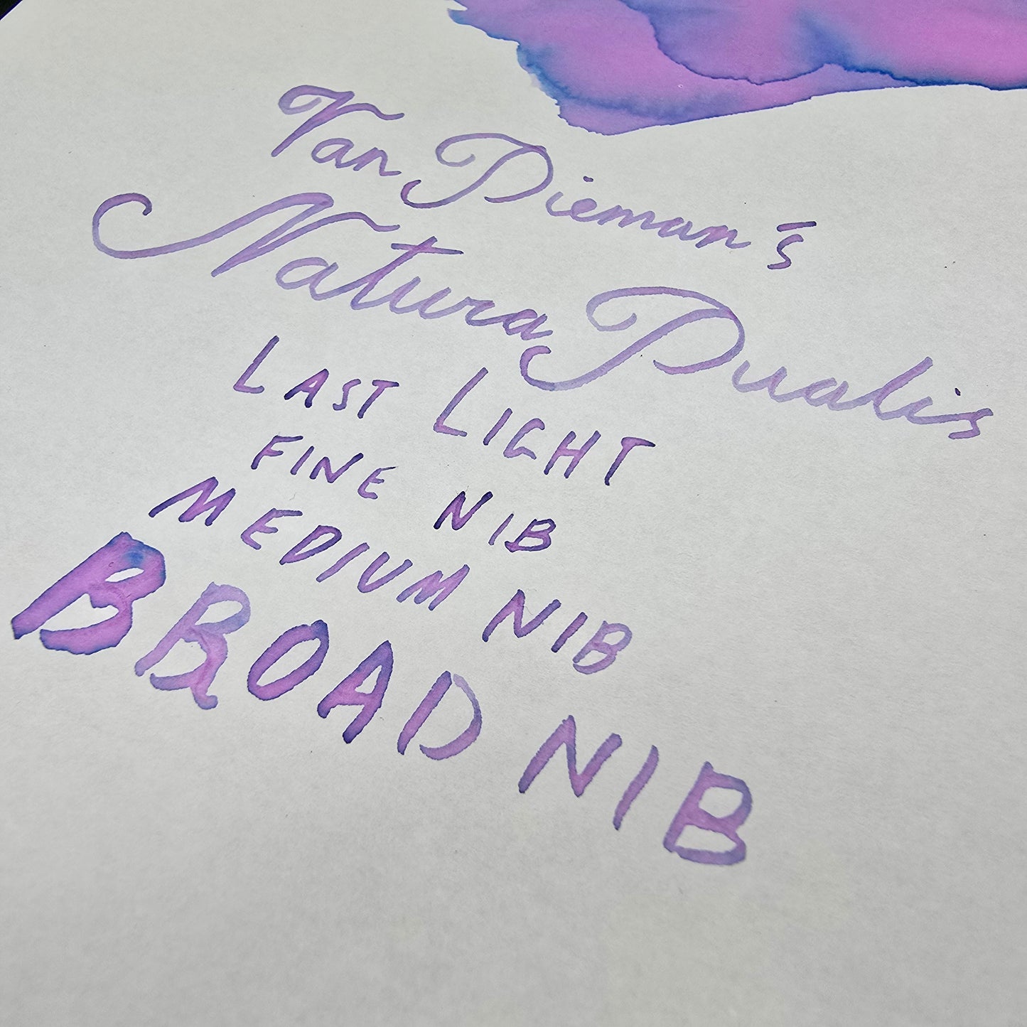 Van Dieman's Professional - Natura Dualis Last Light Dual Tone Fountain Pen Ink