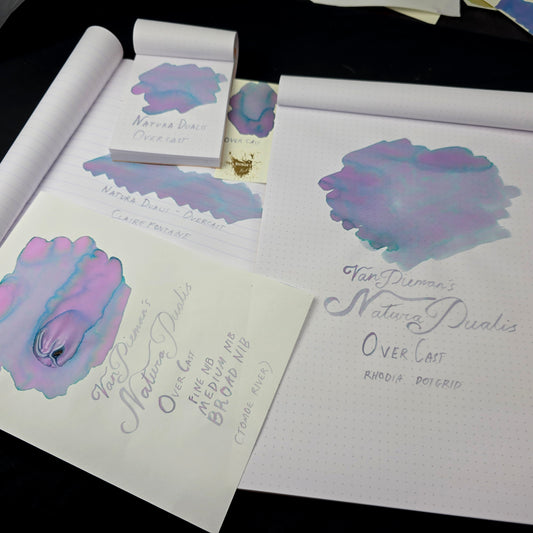 Van Dieman's Professional - Natura Dualis Overcast Dual Tone Fountain Pen Ink