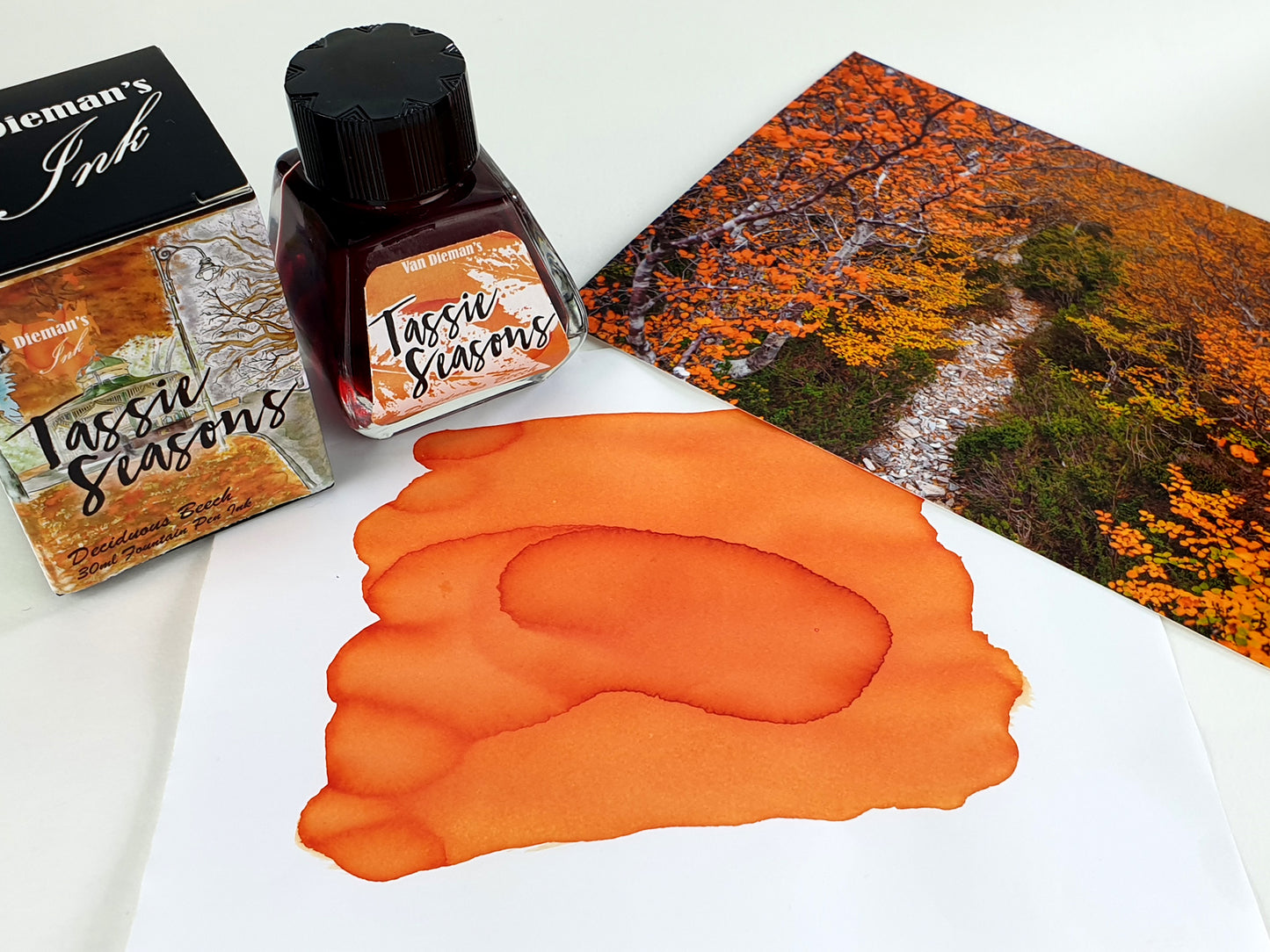 Van Dieman's Tassie Seasons (Autumn) Deciduous Beech - 40ml Fountain Pen Ink