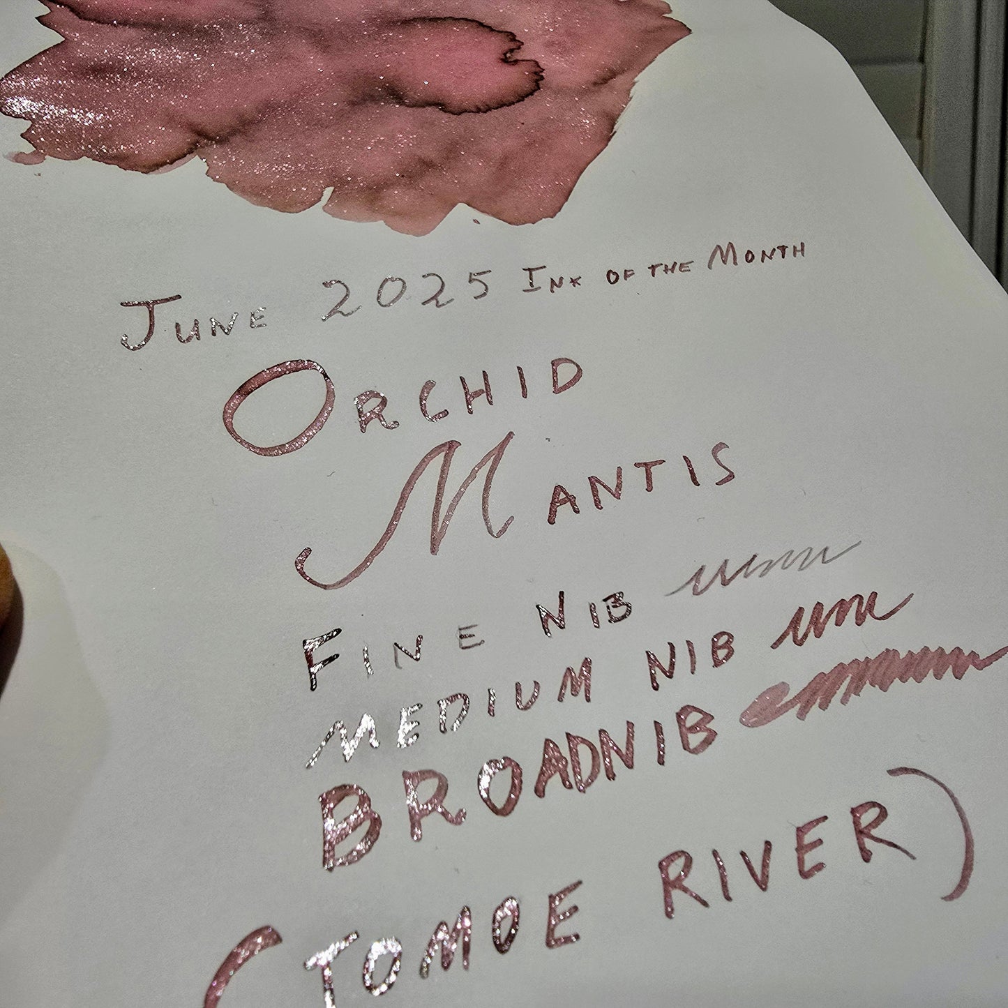 Van Dieman's 2025 June - Orchid Mantis - 100ml Shimmered Fountain Pen Ink