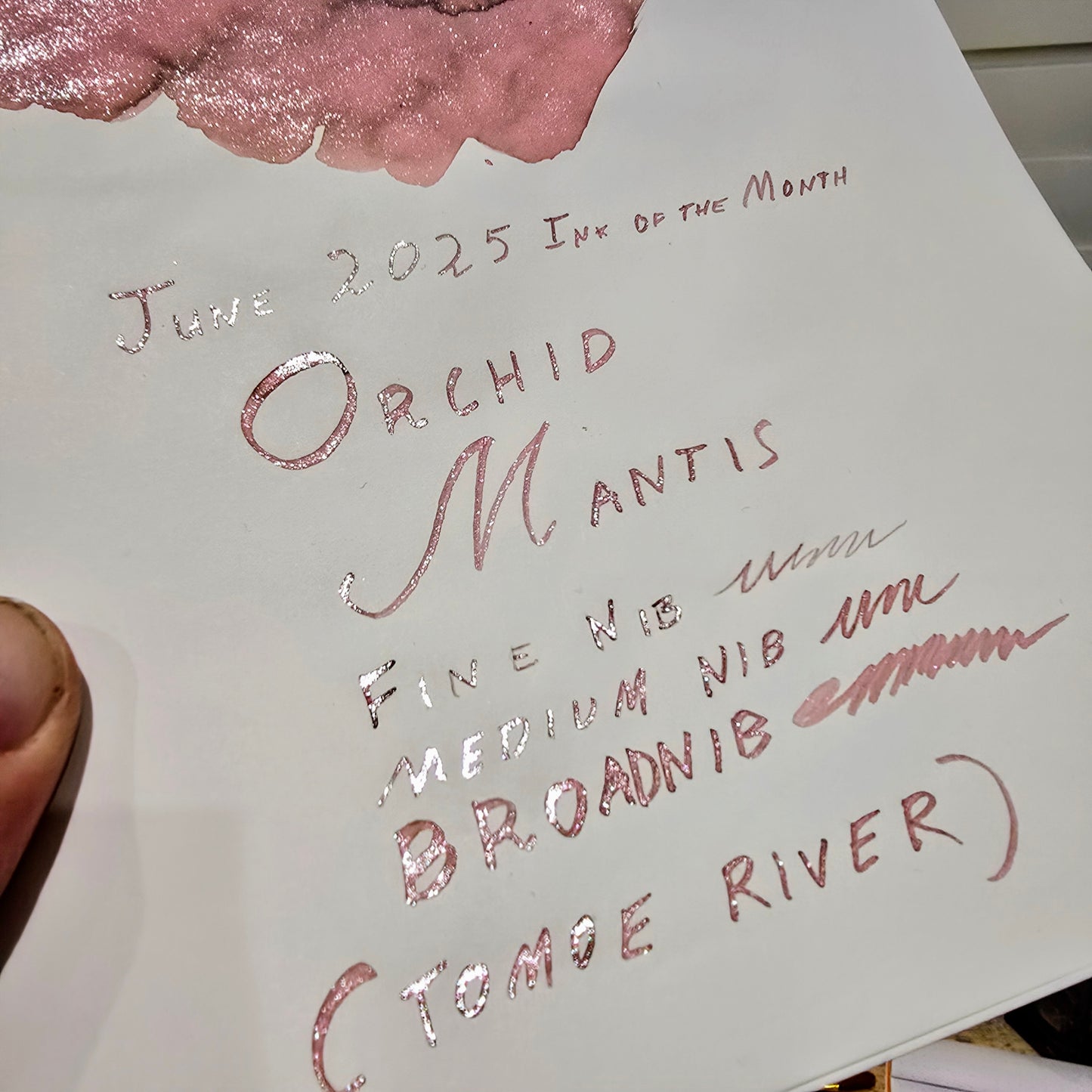 Van Dieman's 2025 June - Orchid Mantis - 100ml Shimmered Fountain Pen Ink