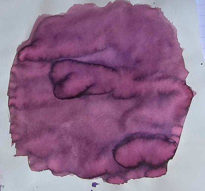 Van Dieman's & Pen Chalet's World Oceans - Pacific: Giant Pacific Octopus