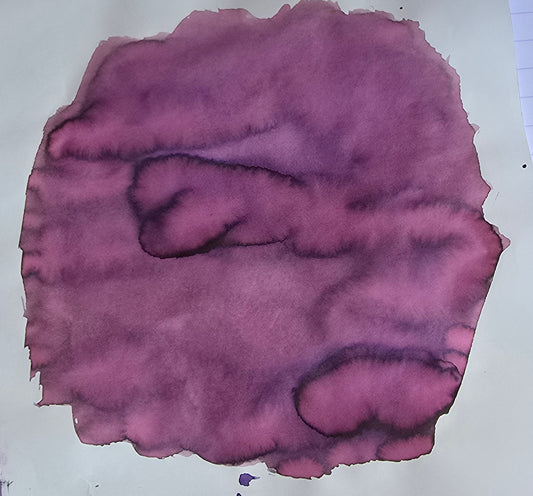 Van Dieman's & Pen Chalet's World Oceans - Pacific: Giant Pacific Octopus