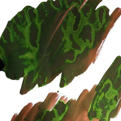Van Dieman's Voyagers - Heemskerck and Zeehaen - 40ml Fountain Pen Ink