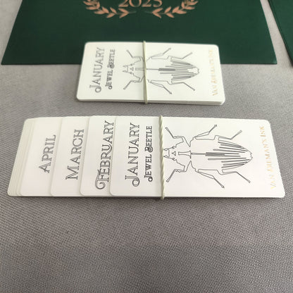 Van Dieman's 2025 Boxed Collection