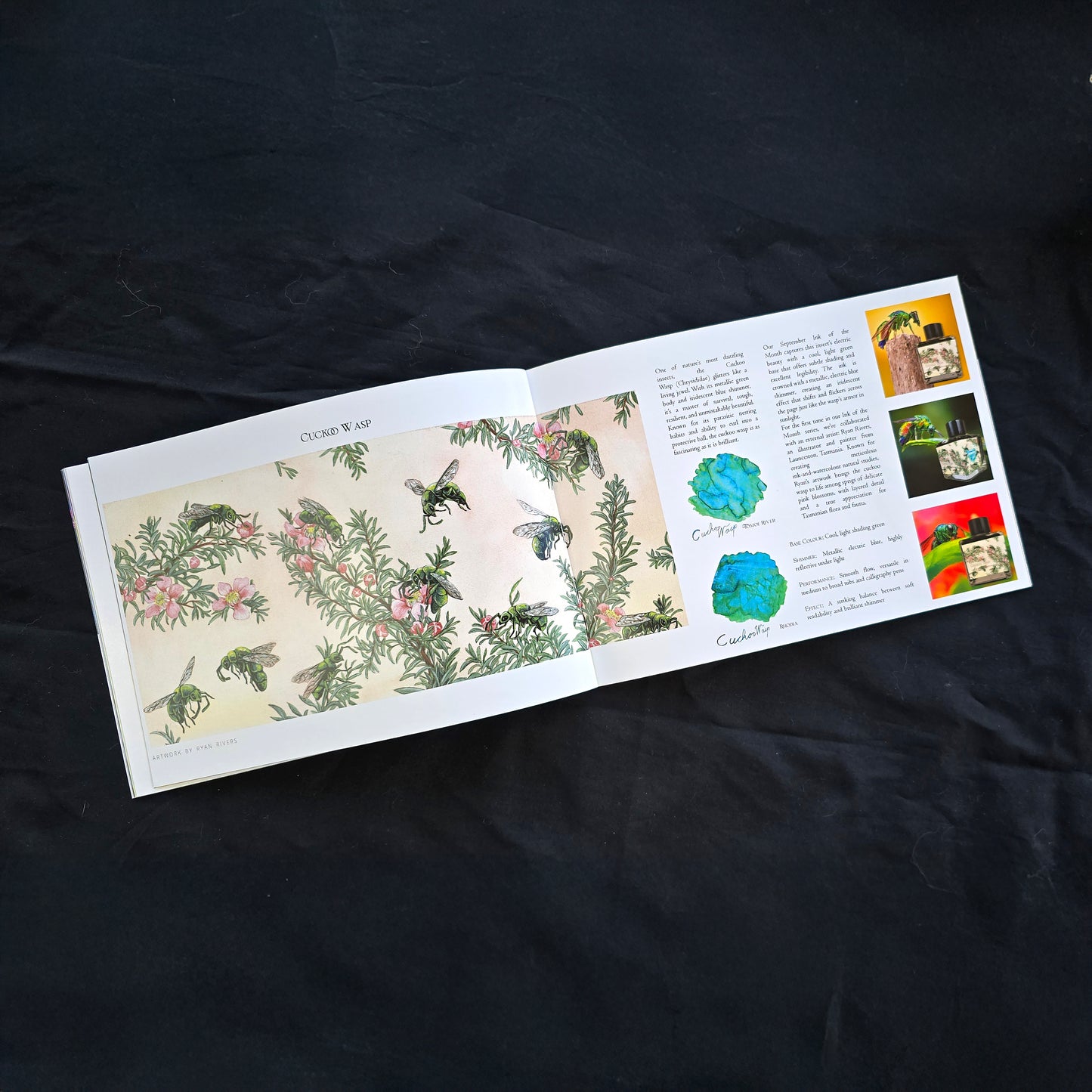 Van Dieman's 2025 Boxed Collection