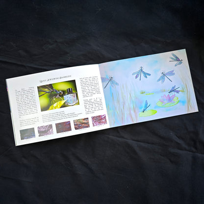 Van Dieman's 2025 Boxed Collection