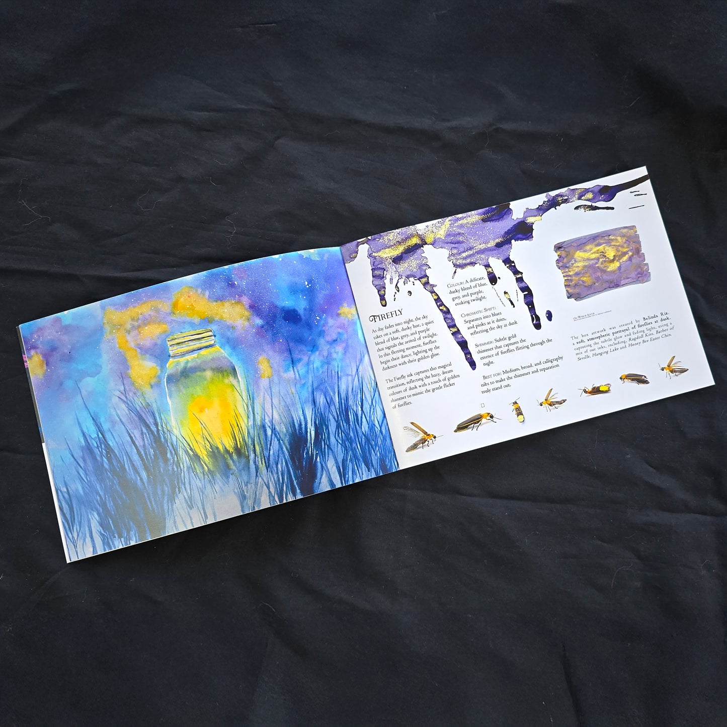 Van Dieman's 2025 Boxed Collection