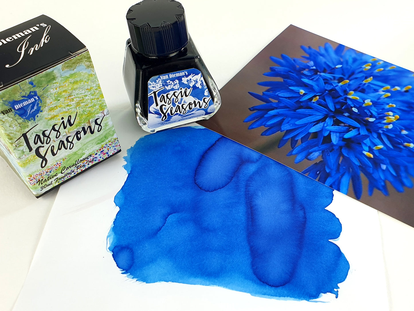 Van Dieman's Tassie Seasons (Spring) Native Cornflower - 40ml Fountain Pen Ink