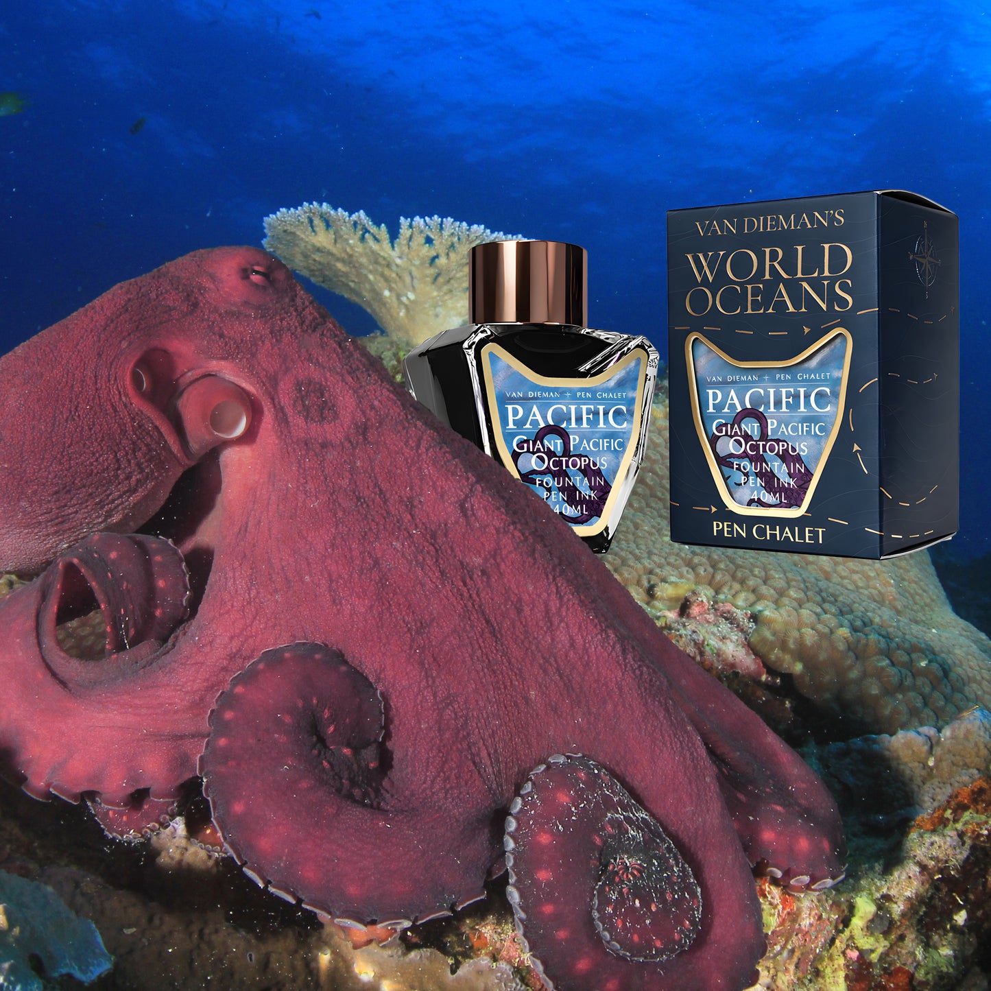 Van Dieman's & Pen Chalet's World Oceans - Pacific: Giant Pacific Octopus