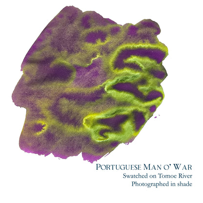 Van Dieman's & Pen Chalet's World Oceans - Atlantic: Portuguese Man of War